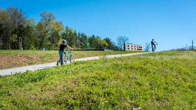 Young boy catching up with his faster cyclist brother dad, biking on bike trail in Bella Vista, Northwest Arkansas
