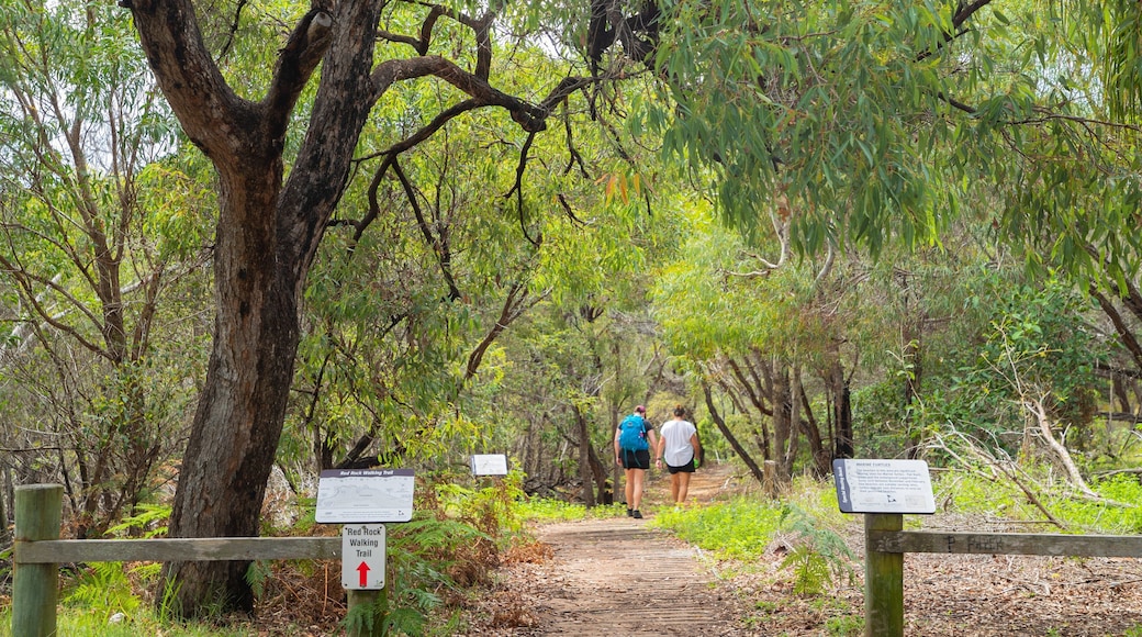 Red Rock Walking Trail which includes a park and forest scenes as well as a couple