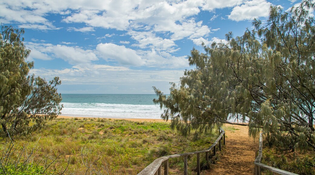 Red Rock Walking Trail showing general coastal views