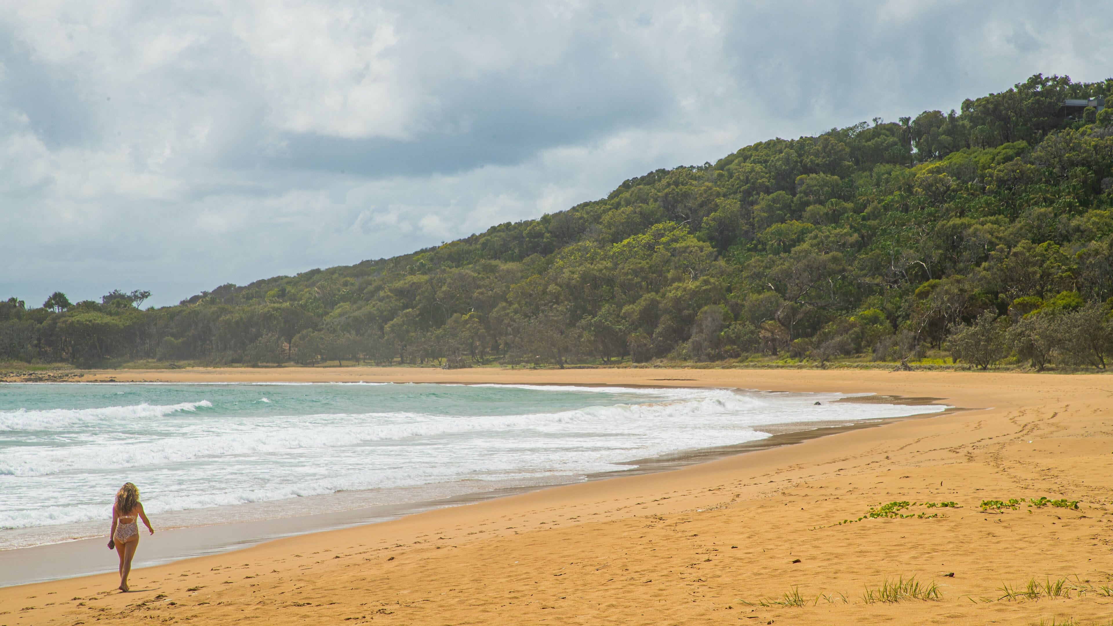 Red Rock Walking Trail which includes general coastal views and a beach as well as an individual femail