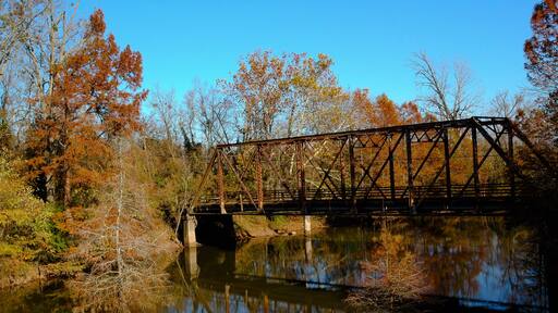 Bridges Reflection