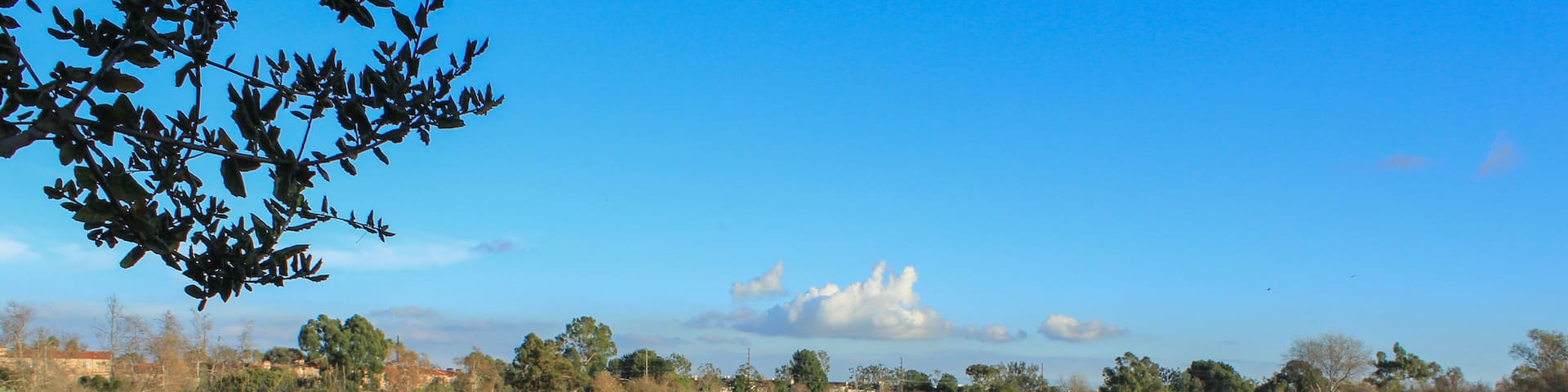 Madrona Marsh Nature Preserve, City of Torrance, Los Angeles County, California