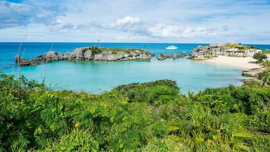 Un paisaje costero con aguas turquesas cristalinas, afloramientos rocosos y abundante vegetación.