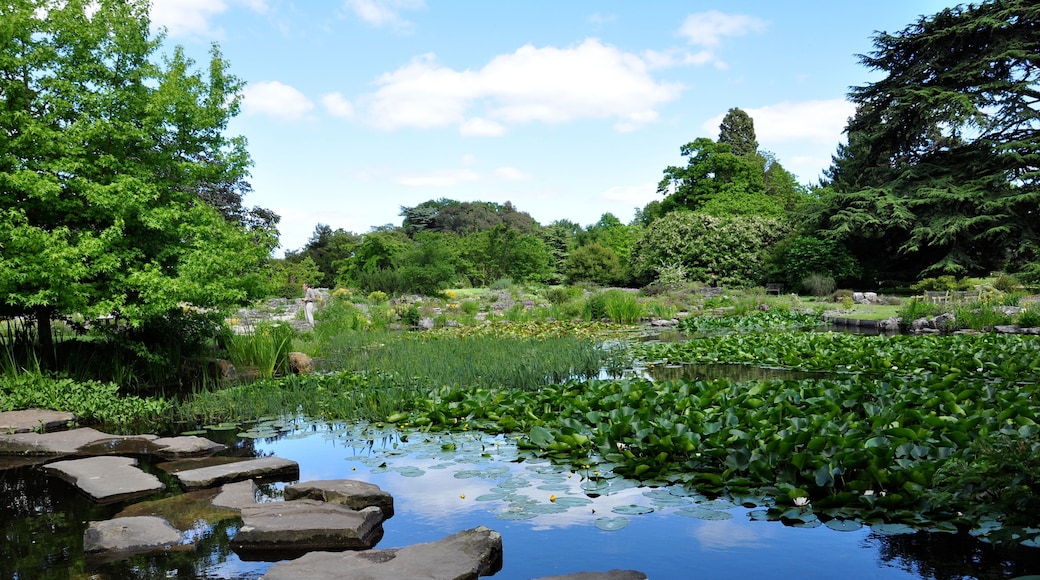 Cambridge Botanic Gardens