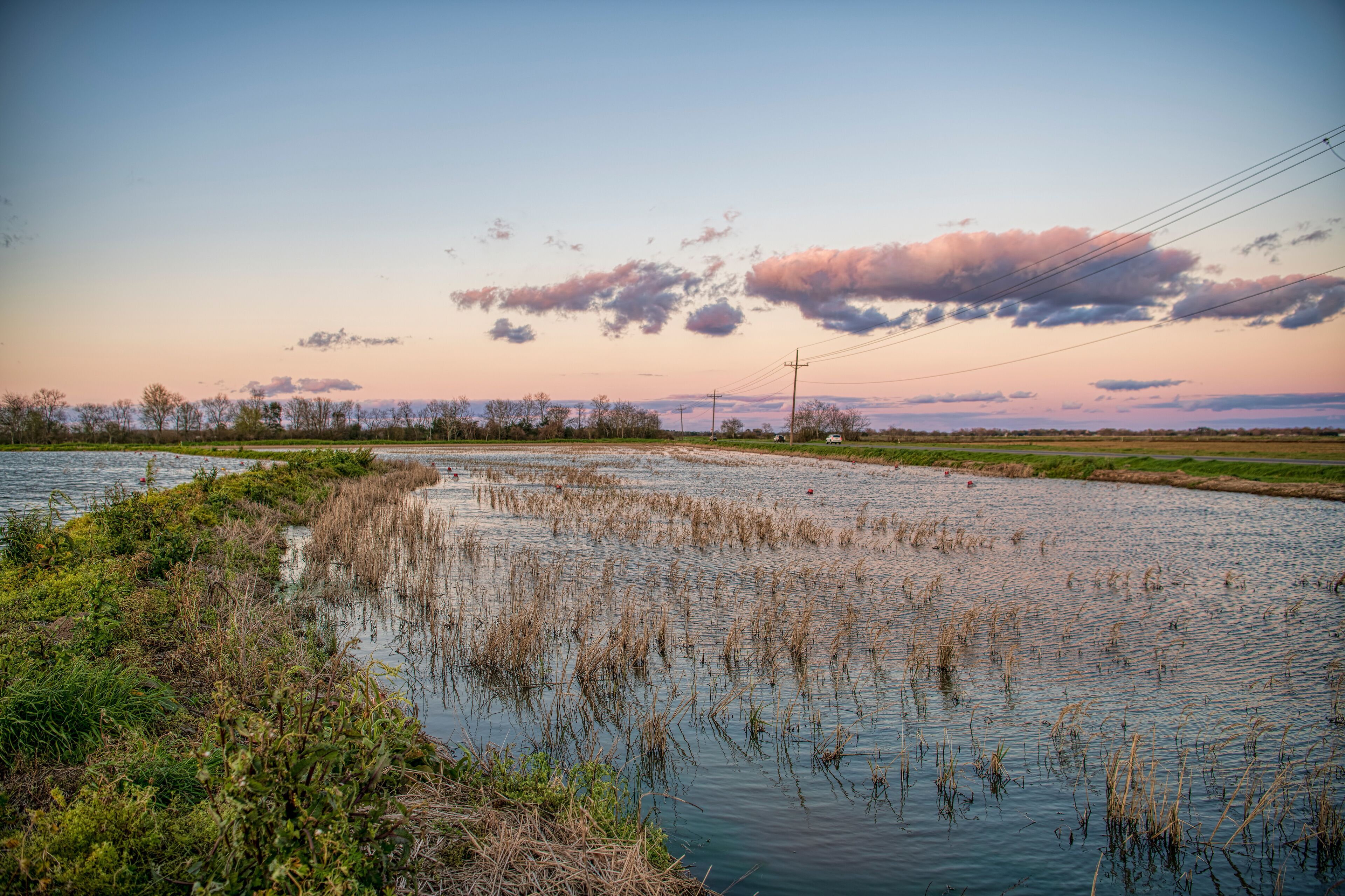 Sundown in the Field Fields of Acadia Parish in Louisiana