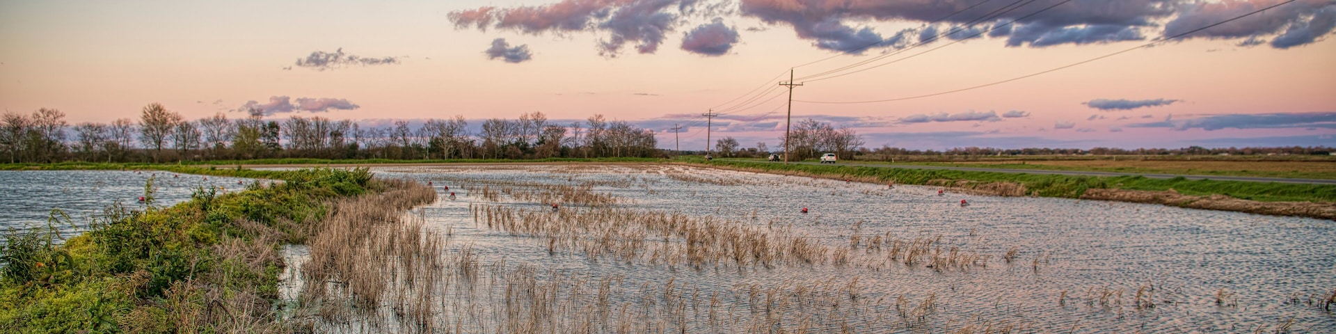 Un champ agricole inondé, avec des lignes électriques en arrière-plan.