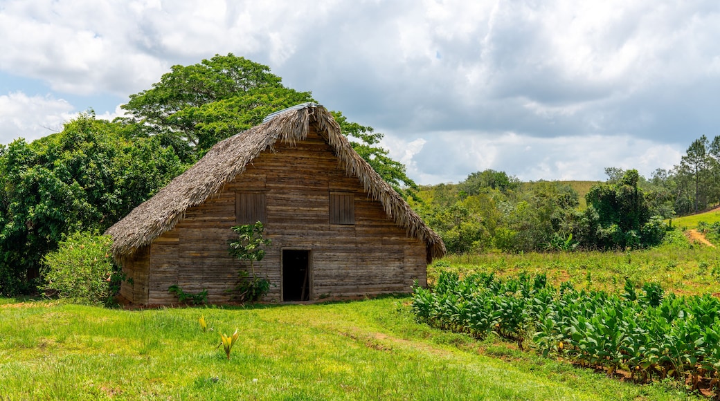 A rustic wooden house with a thatched roof, surrounded by lush greenery and a clear sky.