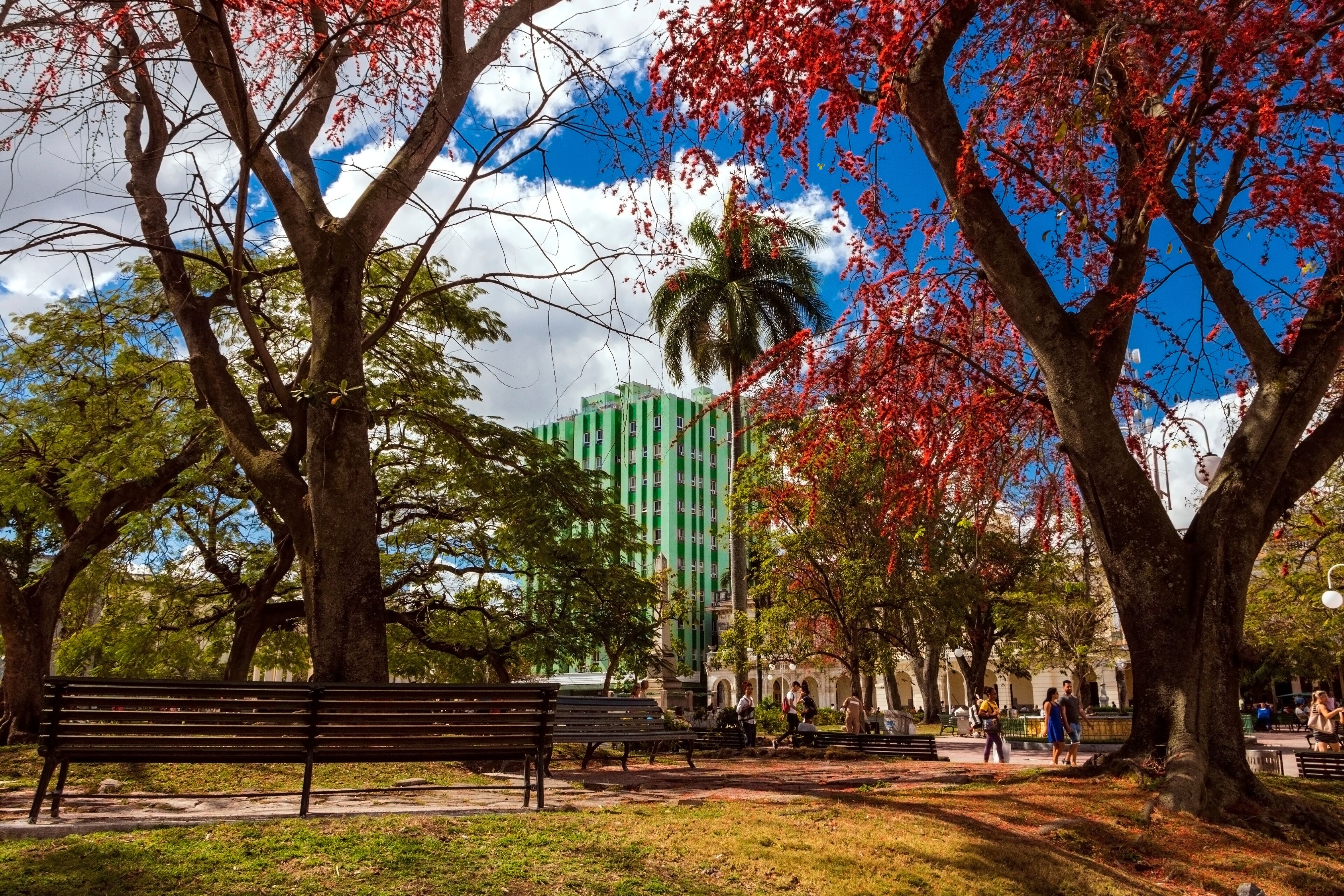 A park with benches, trees, and a green building in the background.