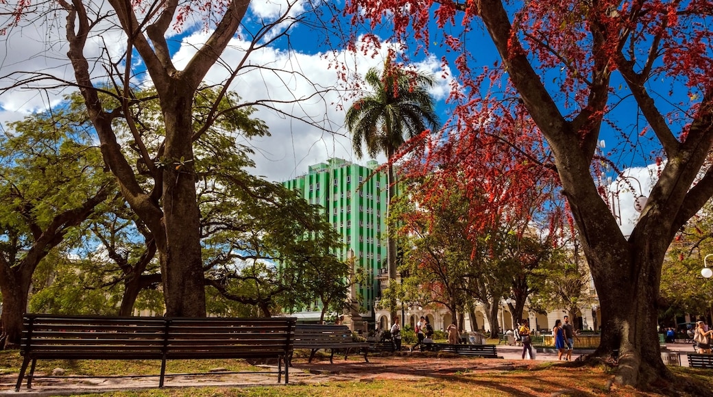 A park with benches, trees, and a green building in the background.