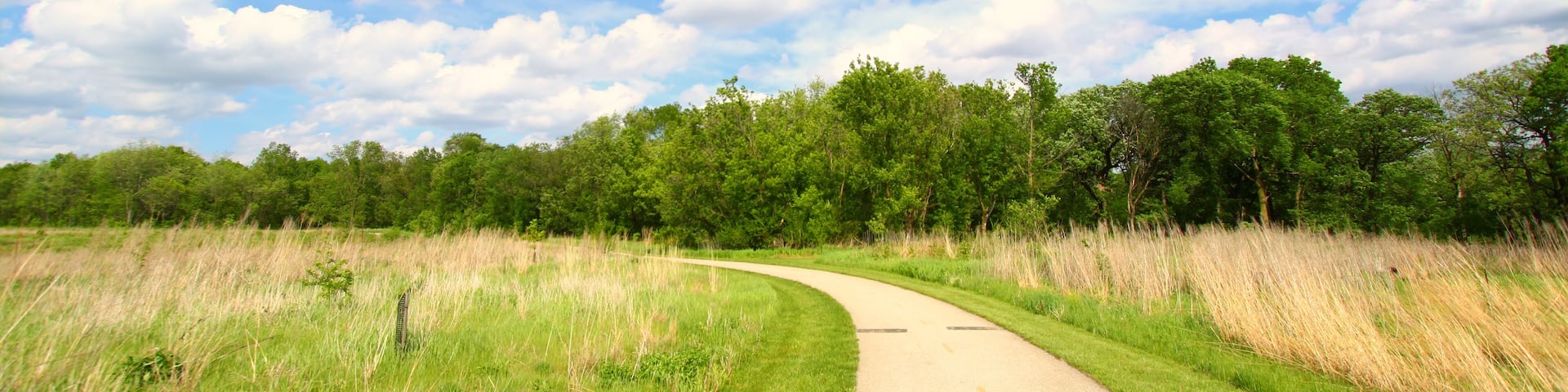 Blackhawk Springs Forest Preserve