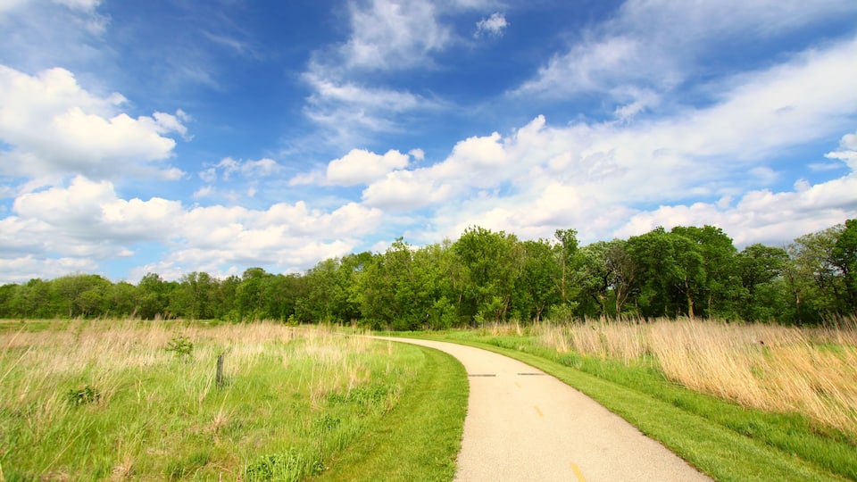 A curved gravel path in a grassy field with trees in the background under a partly cloudy sky.