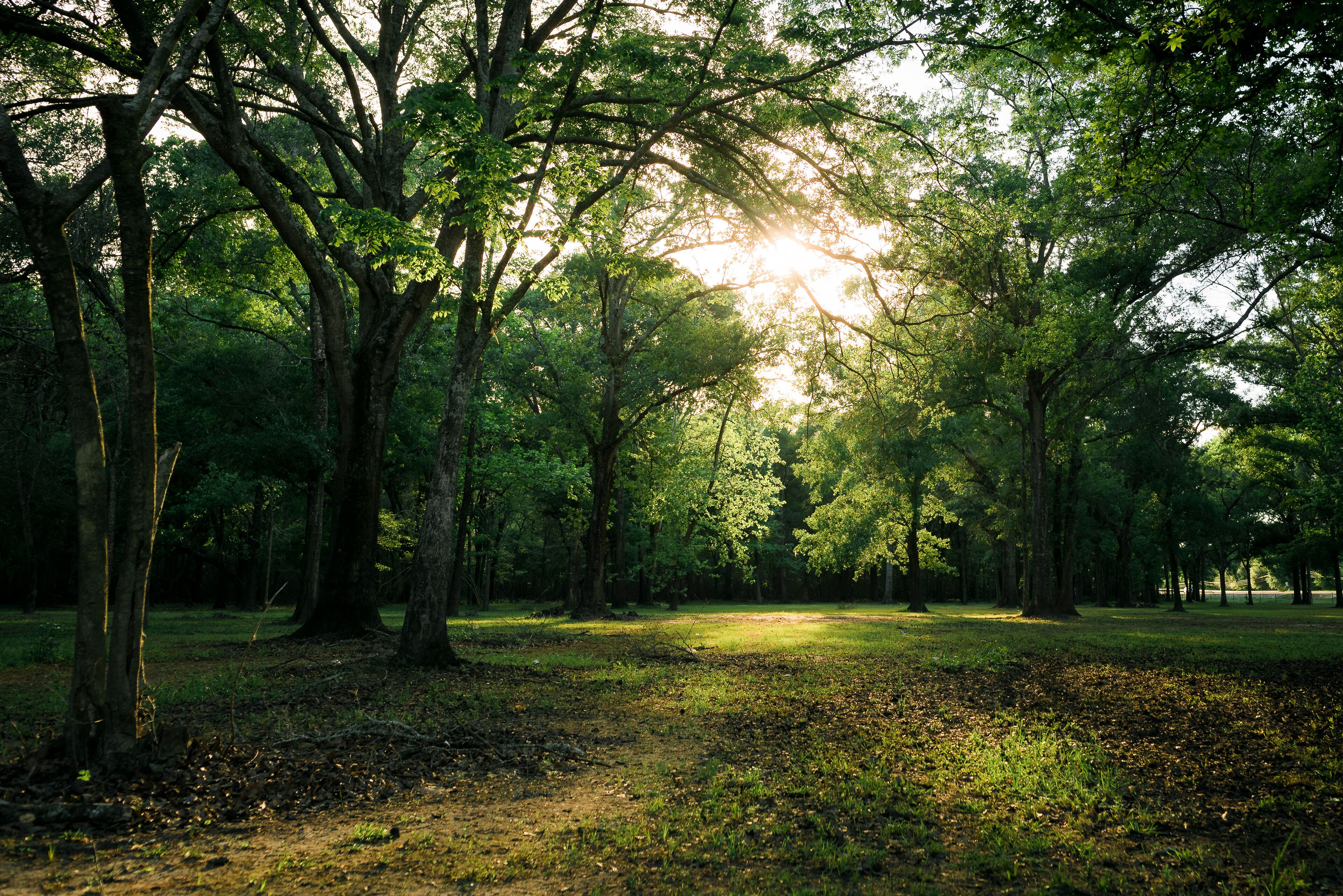 A view of Bear Creek Park in Houston TX
