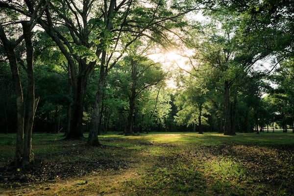 A view of Bear Creek Park in Houston TX
