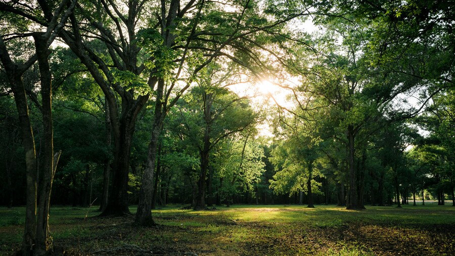Công viên Bear Creek