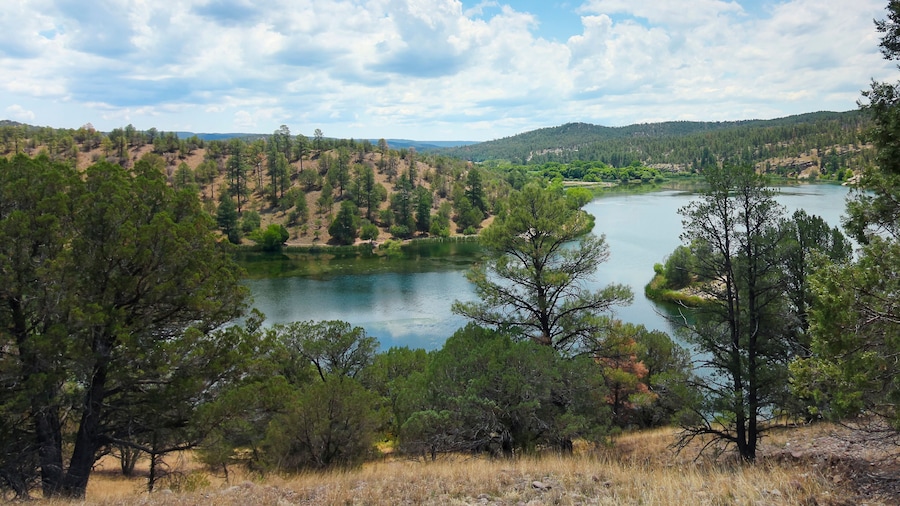 A Lake Roberts View, Gila National Forest