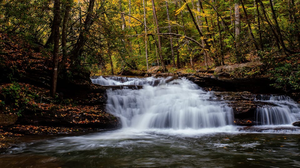 Mill Creek Falls - Waterfall in Autumn / Fall Forests - Appalachian Mountains - Kumbrabow State Forest - West Virginia