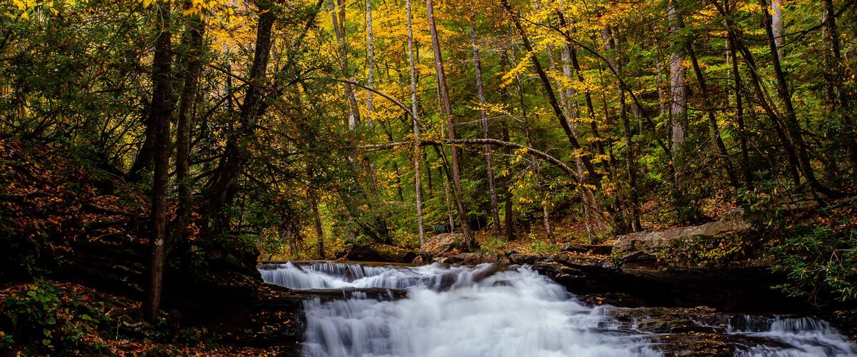 A waterfall in a forest with autumn foliage.