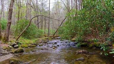 A Scenic View of Emery Creek, near Chatsworth, Georgia.