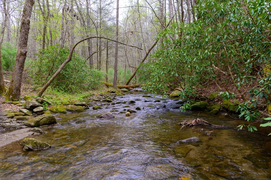 A Scenic View of Emery Creek, near Chatsworth, Georgia.