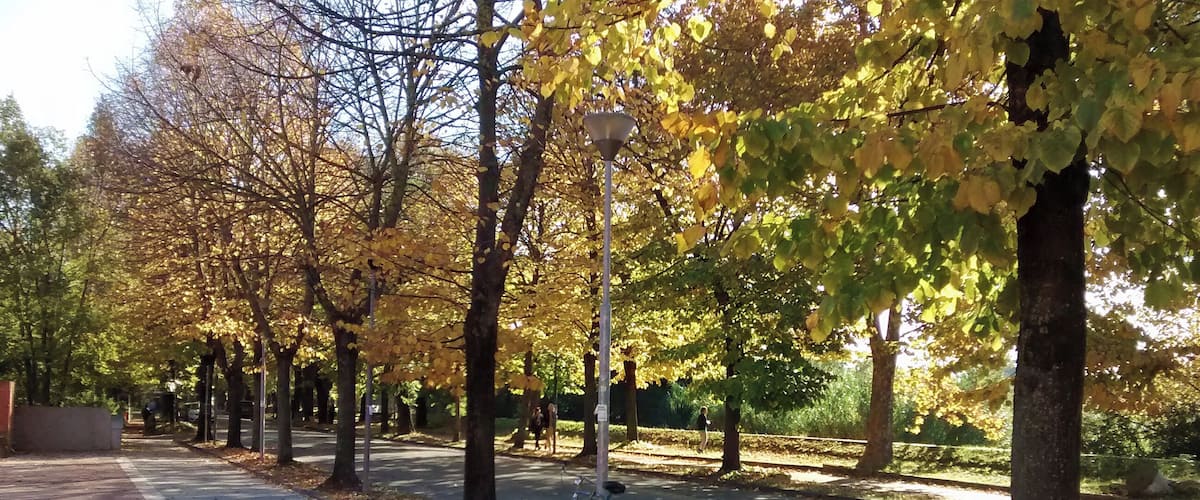 Viale delle Piagge presso il centro espositivo SMS.