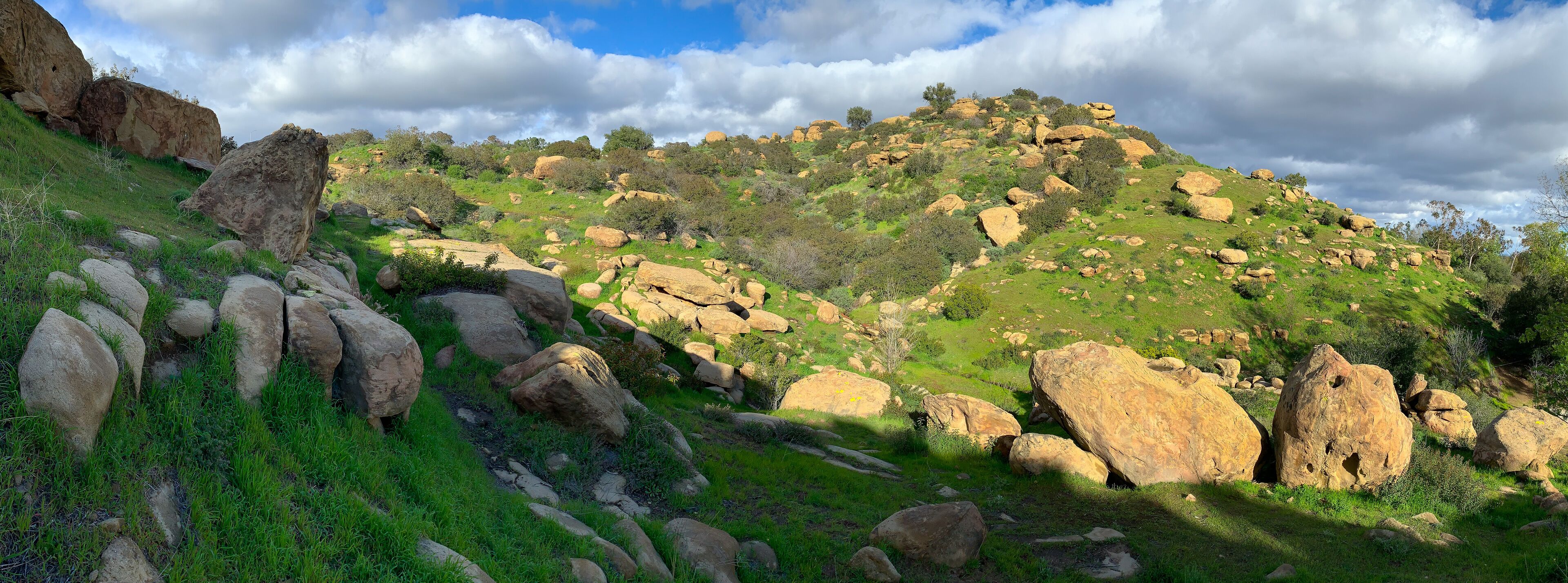 A rocky hillside with large boulders and green vegetation.