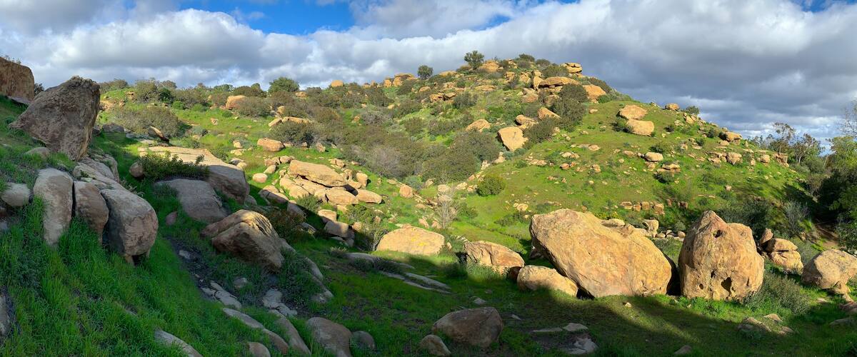 A rocky hillside with large boulders and green vegetation.