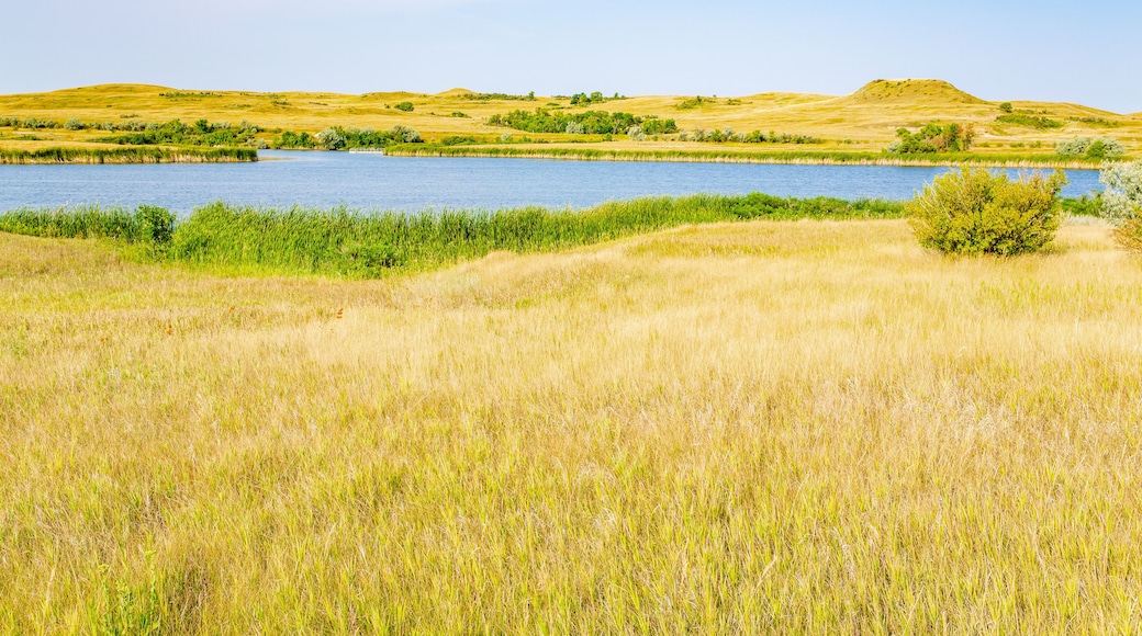 スプリング レイク パーク