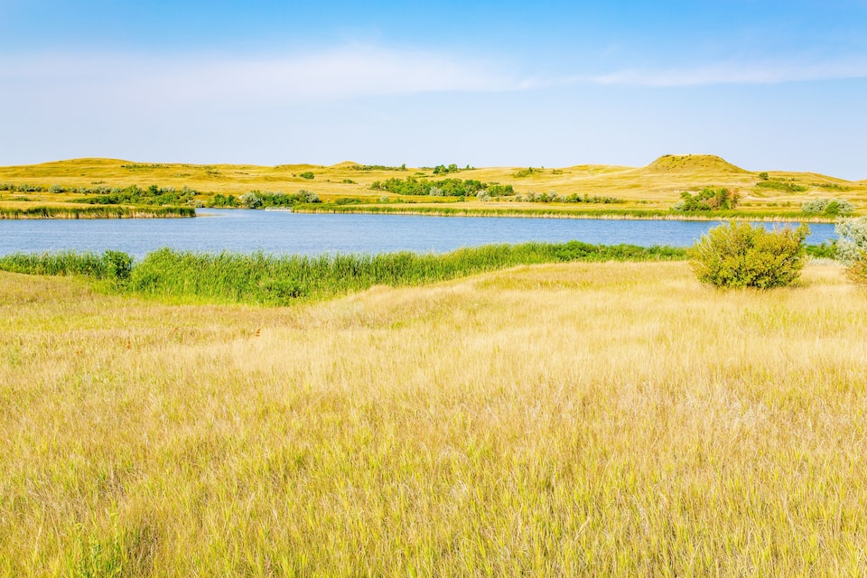 A river, grassy fields, and rolling hills.