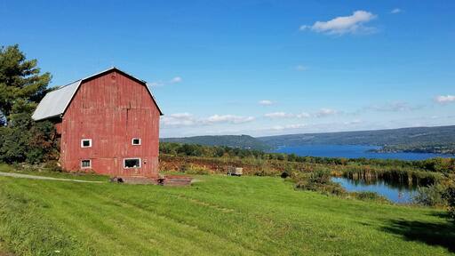 Vintage Abandoned Wooden Red Barn with Wine Vineyard and Lake in Background