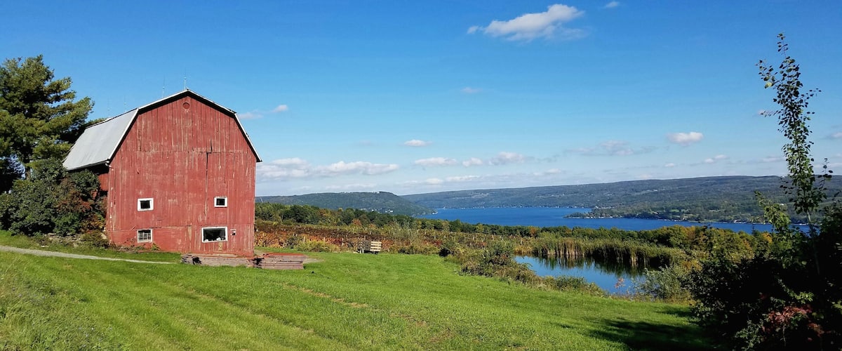 A red barn, a grassy field, a lake, and distant hills.