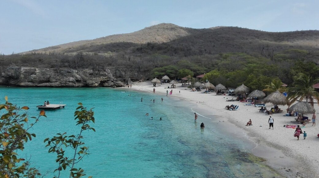 One of the most beautiful beaches I've been to.... amazing white sand, and crystal clear water. Definitely worth a visit for all beach lovers #curacao #caribbean #beach #stunning