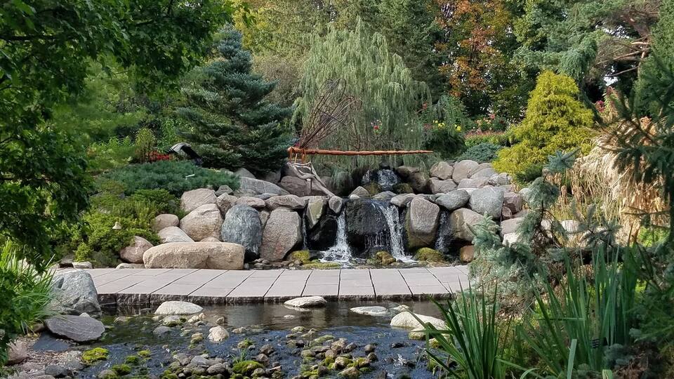 A serene garden with a small waterfall, large rocks, and lush greenery.