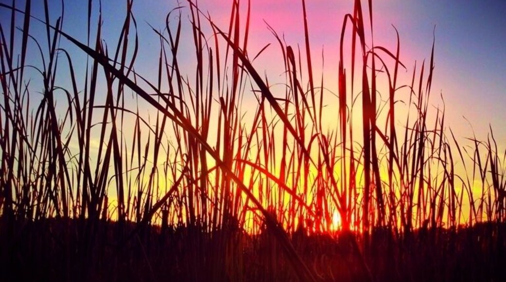 Great place to take a walk and take photos!