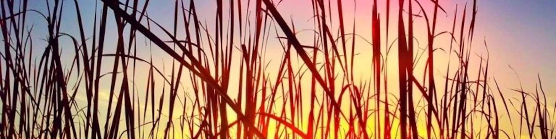 Great place to take a walk and take photos!