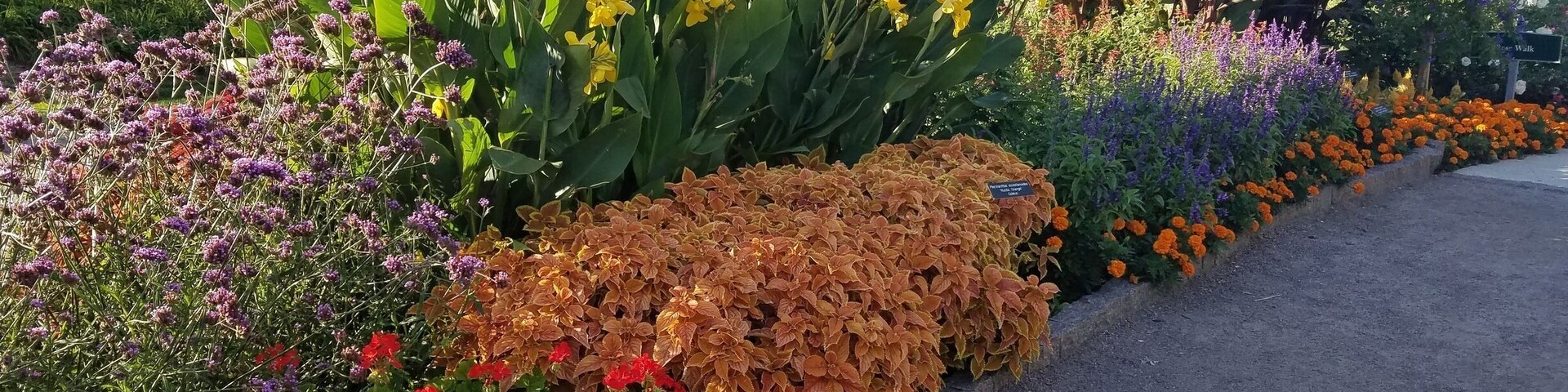 Lovely flower gardens they have here!