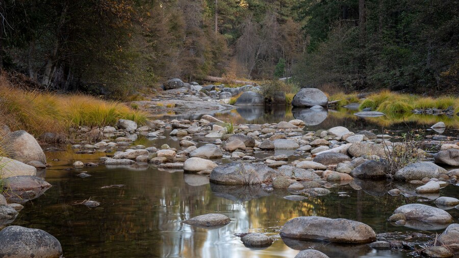 Yosemite South Entrance