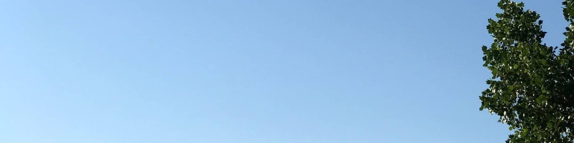 Hot air balloons were out this morning on the way to Florida. Stopped at Cracker Barrel for breakfast.