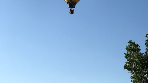 Hot air balloons were out this morning on the way to Florida. Stopped at Cracker Barrel for breakfast.