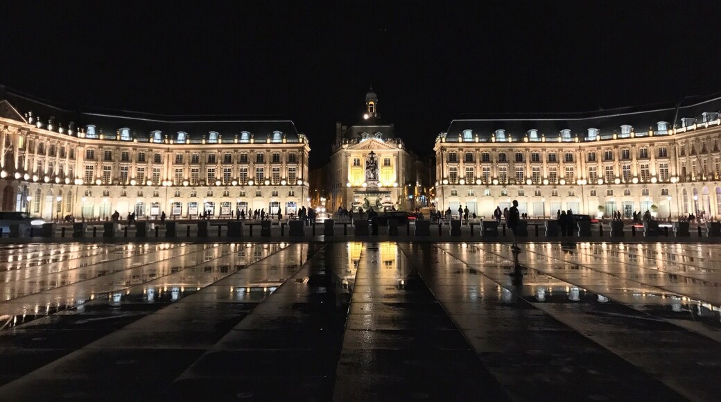 When it comes the night, Place de la Bourse in Bordeaux becomes a totally different place. A lot of people were standing there for minutes just to watch this magnificent square with his lights reflecting by the water mirror. (Bordeaux, France) 🇫🇷