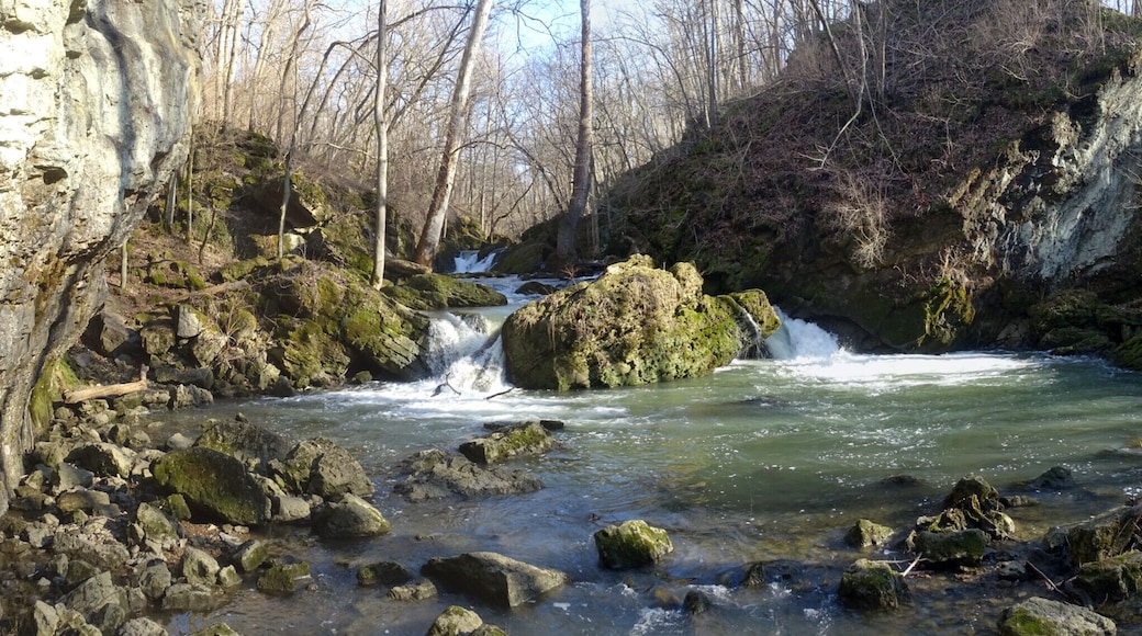 Waters rushing through the Massive Creek gorge at Indian Mound Reserve Park in Cedarville, OH.
The park offers miles of trails, a waterfall, a creek gorge, wildflowers and a couple ancient earthworks.