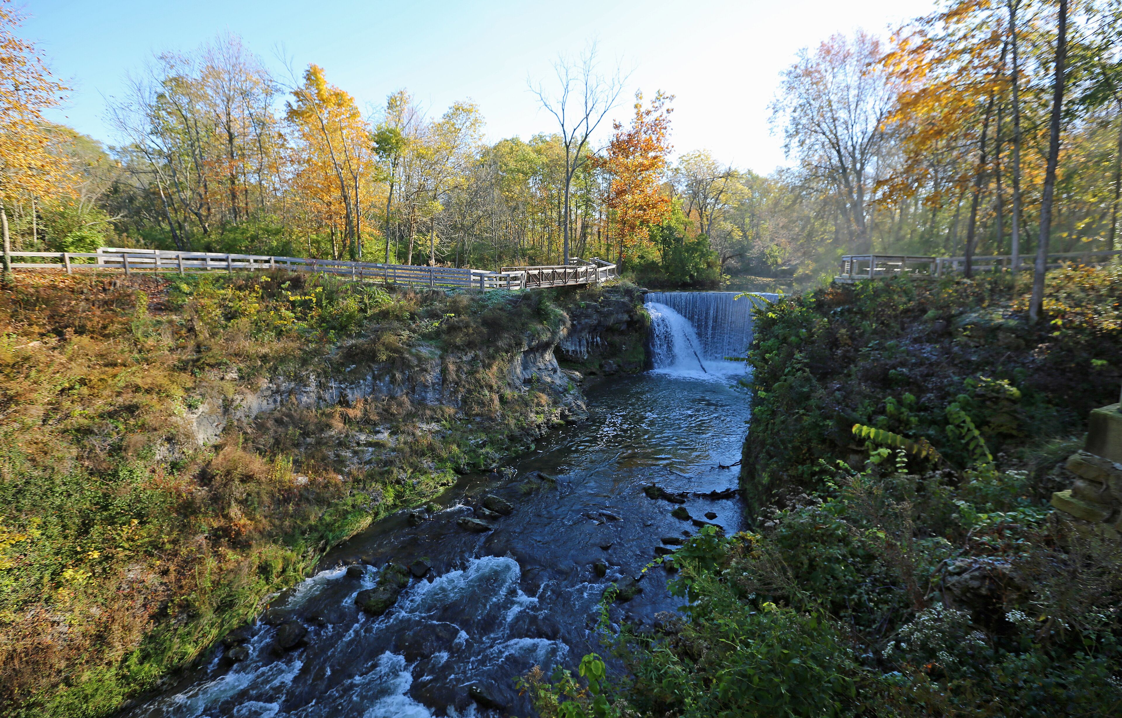 シーダーヴィル