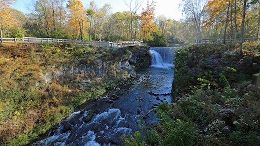 シーダーヴィル