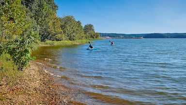 Un lago tranquilo con kayakistas, rodeado de árboles densos y una orilla distante.