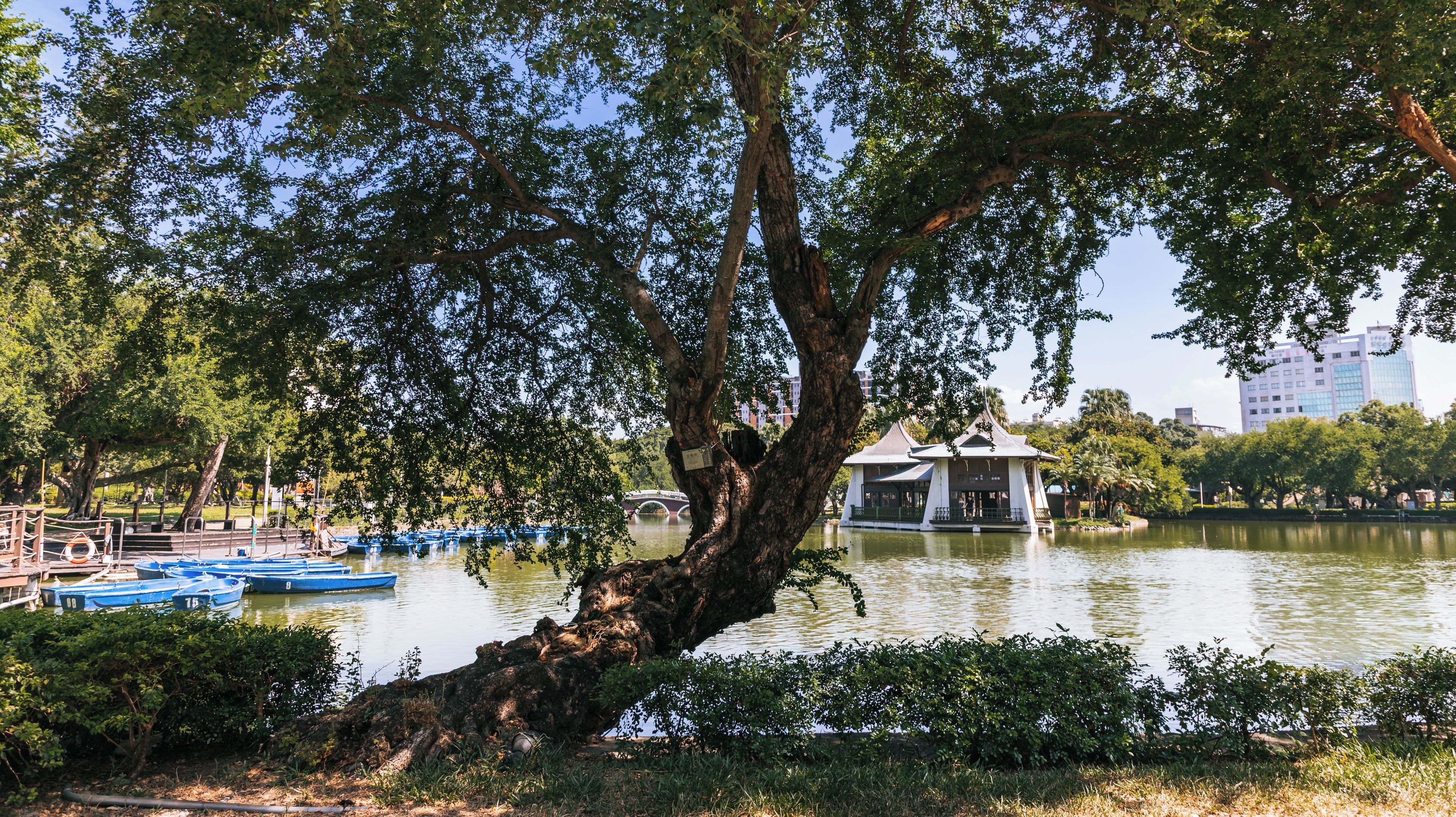 Taichung sentralpark