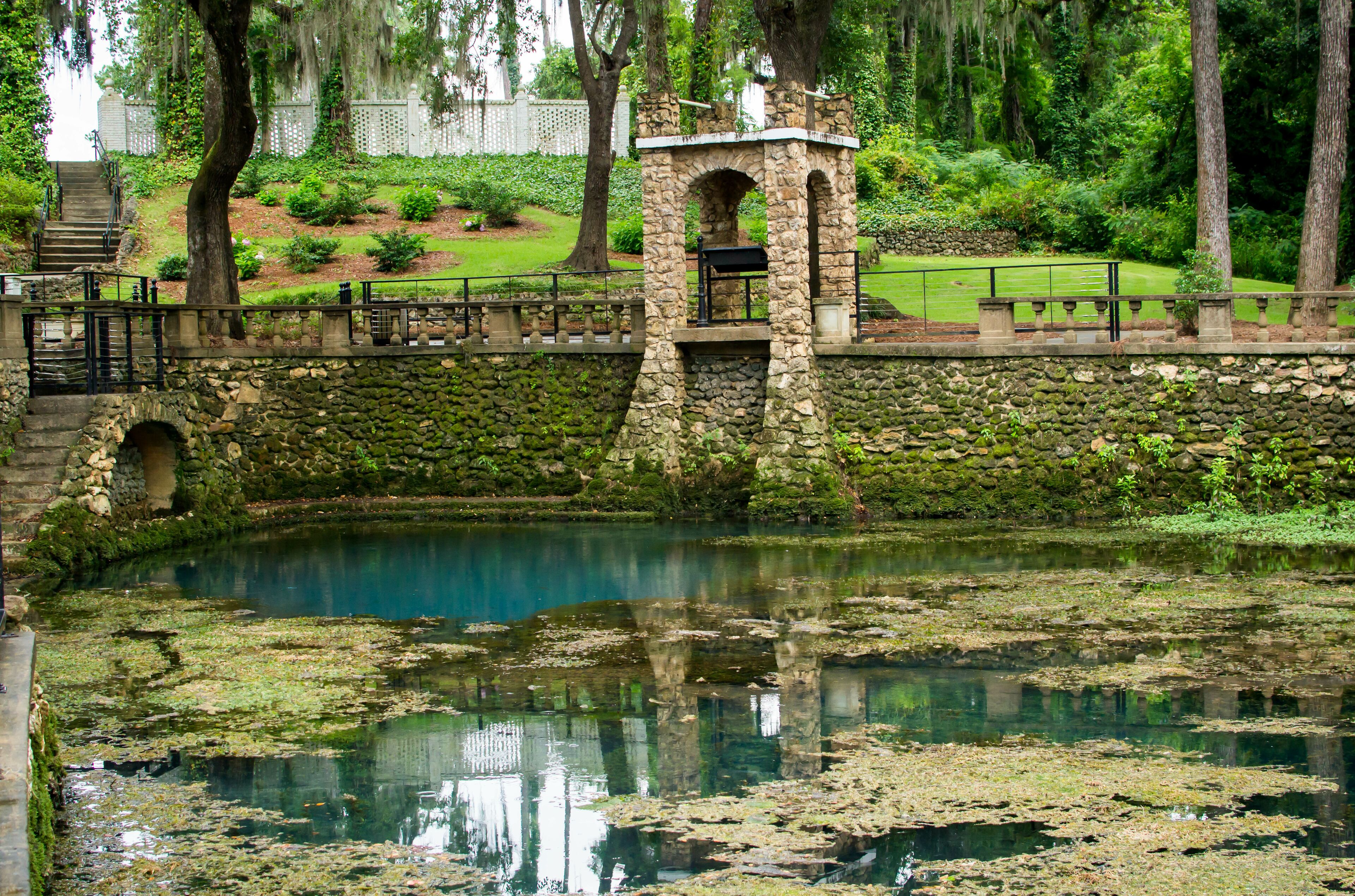 Radium Springs with clear blue water