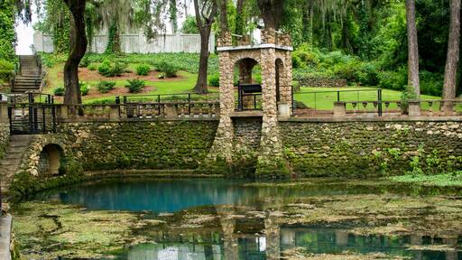 Radium Springs with clear blue water