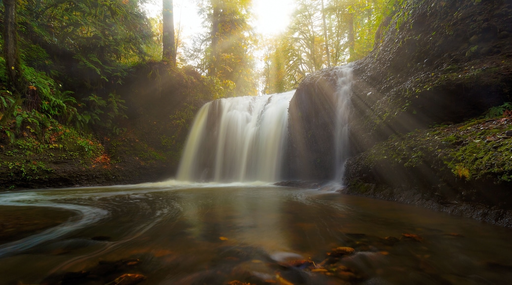 Sun Rays over Hidden Falls
