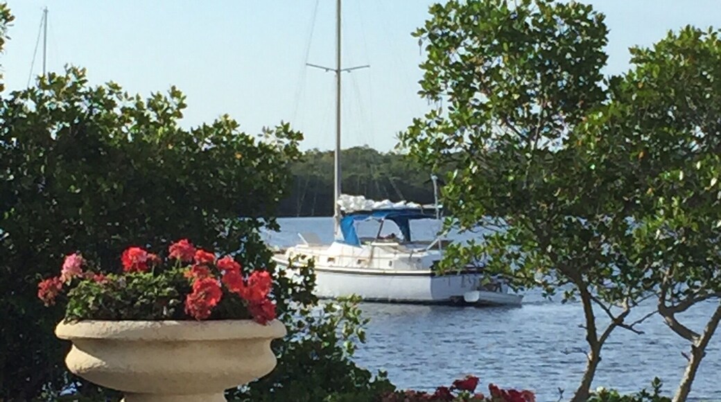 It's a beautiful morning in Cape Coral Fl