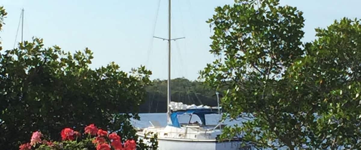 It's a beautiful morning in Cape Coral Fl