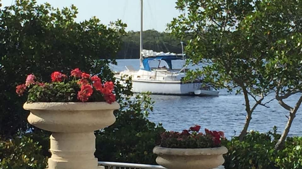 It's a beautiful morning in Cape Coral Fl